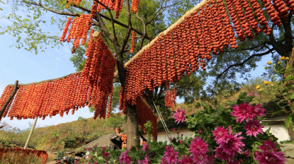 ffe7892e23d60ce67581ce7472eb6a4e.png ffe7892e23d60ce67581ce7472eb6a4e.png